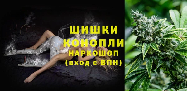 первитин Краснослободск