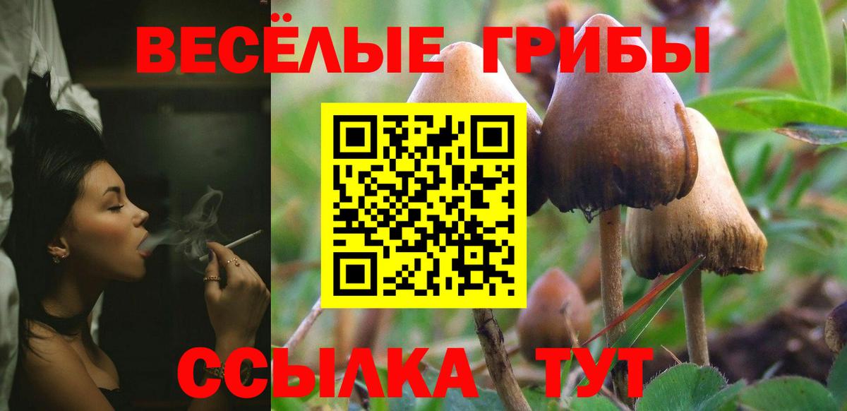 Гагарин  Псилоцибиновые грибы Psilocybine cubensis  Вход с VPN 